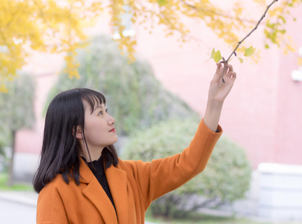 菲律宾大学国内承认吗